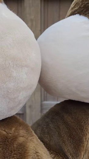 38K views · 332 reactions | Happy birthday Chip & Dale 拾 | Disneyland Paris | Facebook