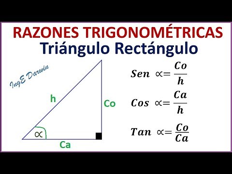TRIGONOMETRIC RATIOS in right triangles - Characteristics and examples