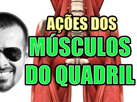 Vídeo Aula 116 - Anatomia Humana - Sistema Muscular: Ações dos Músculos do Quadril