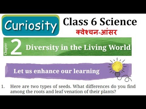Class 6 Science(Curiosity) Chapter 2 question answer क्लास 6 साइंस के चैप्टर 2 के क्वेश्चन-आंसर