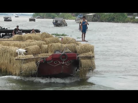 Thrilling scene of straw-laden boats passing through the sluice gate