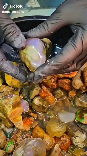 Exploring our water opal specimens with their stunning play of colors! They must be kept hydrated! #australianopal #Ethiopianopals #specimenopal #boulderopal #wateropal #mexicanopal #greengemstone #wateropal #boulderopal #templates #fyyp #october #fyyp #yellowopal #rosequartz #viral #opal #blackgemstone #amethyst #tanzanite #gemologist #gemeducation #tutorial #tik_tok #tiktokviral