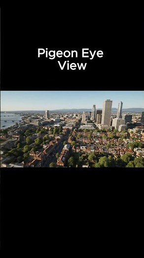 Pigeon’s Eye View of the City – You’ve Never Seen This Before