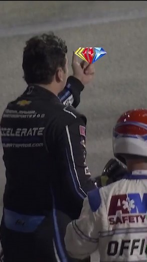 Exploring NASCAR Cautions and Bird Sightings