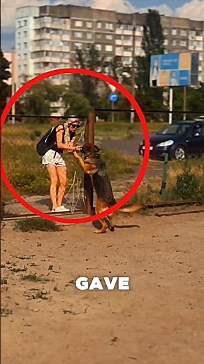This Dog Waited for a girl 😱