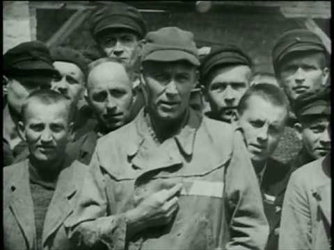Nuremberg Day 8 Concentration Camp Film