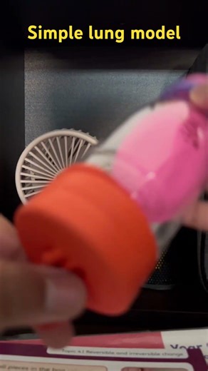Simple lung model #lungs #lungmodel #science