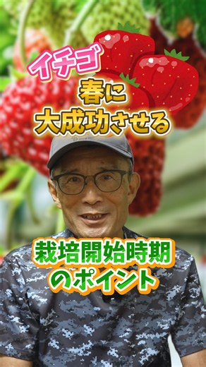 Tips for a Successful Spring Strawberry Harvest in Your Garden or Farm! [Expert Farmer Advice] #s...