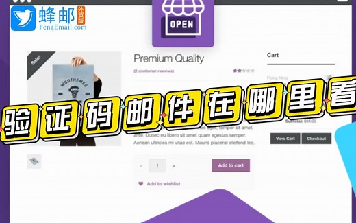验证码邮件在哪里看？邮箱验证码怎么获取？ 如何接收验证码邮件？验证码邮件延迟的原因有哪些？