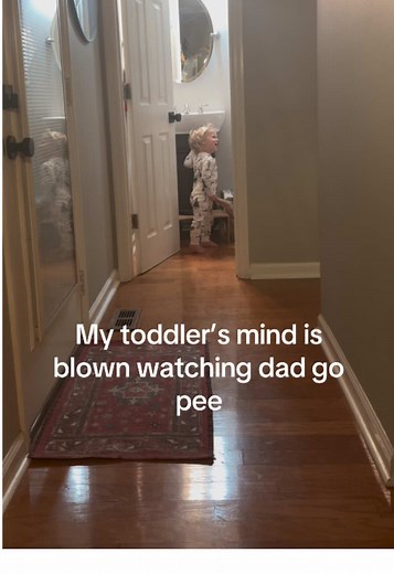 Potty Training Success: Tips for Toddler Boys