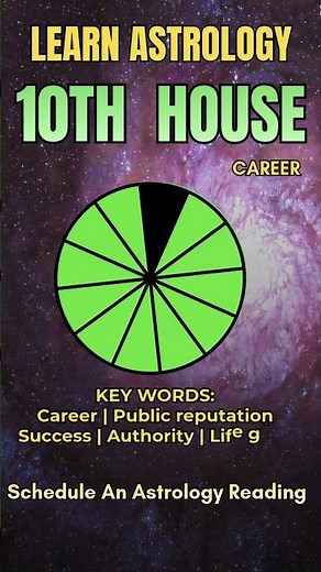 Learn Astrology | Meet Your 10th House 🏛️✨
