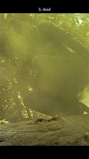 #movie Elektra's Tree Ambush: When Stealth Attacks Go Wrong (Savage Kill)