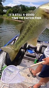 327 reactions · 29 shares | NEW AI Spot Prediction + bait recommendations to catch more + bigger fish. Get your secret weapon to improve your catch count. | Fishbrain | Facebook