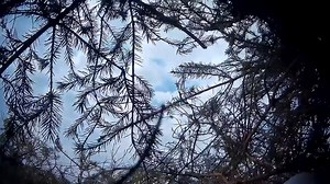 🎥 Remarkable Jockey Cam footage of Aidan Coleman as a jockey riding over the Grand National fences 👇🏻 | Racing TV