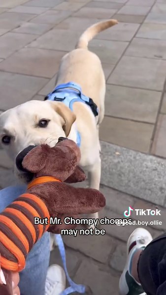 The best shopping boys 🤎💛