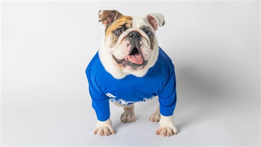 Drake University introduces successor to the live mascot program