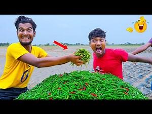 Top Very Special Trending Funny Comedy Video 2025 😂Try To Not Laugh 2025 Episode 284 by Fani Tv Ltd