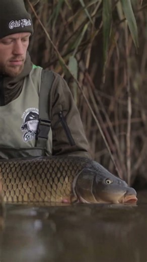 finScribe fishing logbook - Tags and things explained