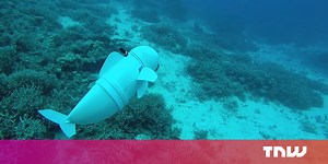 MIT's new robot fish is eerily realistic