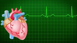 Battements De Coeur Ecg Cœur - Free video on Pixabay
