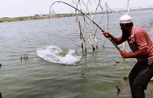 Wow! Really Amazing Fishing Video Hunting Big Fish | Underground Hunter