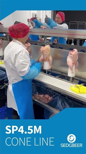 SP4 5M POULTRY CONE LINE