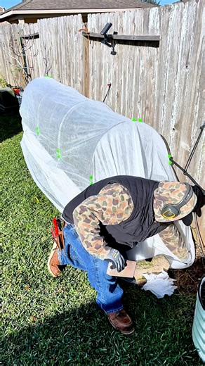 Raised Bed Low Tunnel Frost Cover Install! Comment ‘Tunnel’ for the Link! | Texas Garden Guy