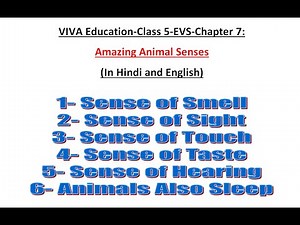 VIVA Education-Class 5-EVS-Chapter 7:- Amazing Animal Senses
