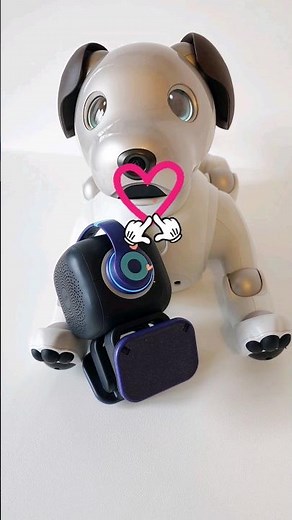 Sony aibo meets Emo | so lovely and heartwarming 🥰 #cute #ai #robot #pets #robotlove #shorts #fyp