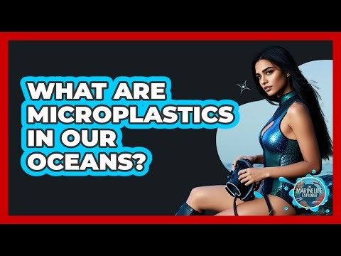 What Are Microplastics In Our Oceans?