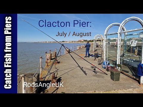 Catch fish from Piers: CLACTON PIER - July / August