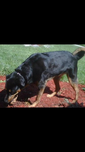 Brian Sam on Reels | Facebook