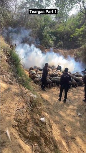 Tear Gas Training NSG COMMANDO| CS GAS TRANING NSG COMMANDO #army #servingnation #agniveers #india