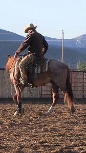 13K views · 220 reactions | Use the diagonal pull with the inside leg. #BEONE #ES20 #Respectthecode #B1 | B1 Horsemanship | Facebook