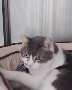 15K views · 6.2K reactions | In our line of work, there are endless...