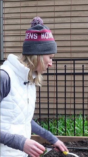 How to PLANT YOUR ARUGULA!