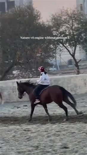 The Allure of Equestrian Beauty and Riding