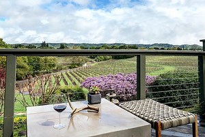 I tried a virtual wine tasting and it wasn’t nearly as awkward as I thought it would be