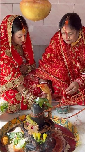 शिव चर्चा भजन | महादेव के सुंदर शिव भजन 🌺🌸🪷🌿🌼🙏🏻 #shivcharcha #shivcharchakagaana #shorts