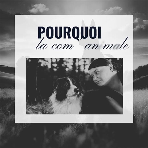 Pourquoi la communication animale