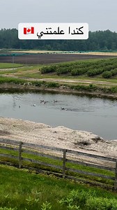 295K views · 5.1K reactions | My life in Canada official on Reels | Facebook