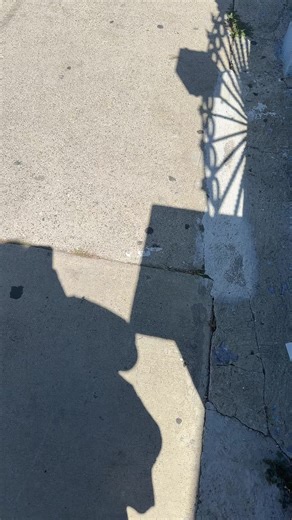 The box is overflowing! Which is great but means I need to add an overflow basket. Please be careful when opening box so things won’t fall out thank you! #eastlosangeles #fyp #trinketbox #trinkets ##ela