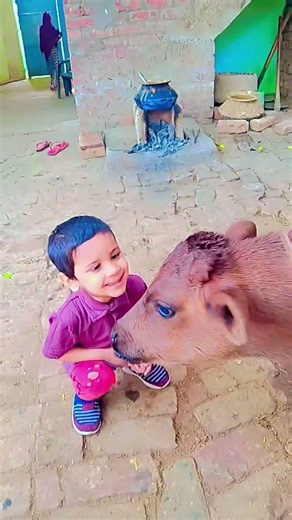 #bollywood #song #viralmusic #cutebaby 💕😍💫 training short viral video 🥰❤️