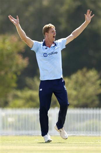You're the umpire. Out or not out? We know what Marnus thinks 🤐 #OneDayCup | cricket.com.au