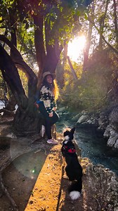 71K views · 88 reactions | Ruta fácil y perfecta para primavera en...