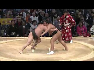 白鵬vs旭天鵬 2013/11/13