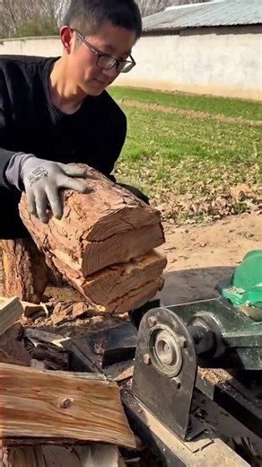 The wood tree is split into many parts so its useful pieces can be taken and used for various needs