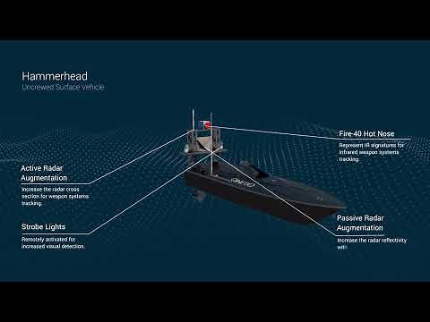 The Hammerhead | Overview