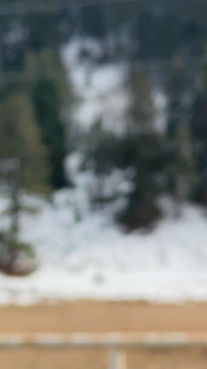 Bayfield Colorado #driving #coloradoreels #coloradoreel #bayfieldcolorado #nature #Colorado | Rayon Mastering Milionaire Habits