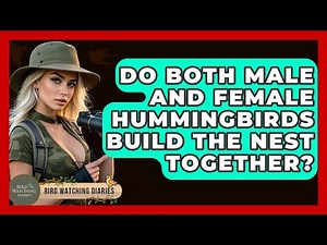 Do Both Male And Female Hummingbirds Build The Nest Together? - Bird Watching Diaries
